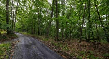 0 TOWER MOUNTAIN LN, MOUNT JACKSON, Virginia 22842, ,Land,0 TOWER MOUNTAIN LN,666341 MLS # 666341
