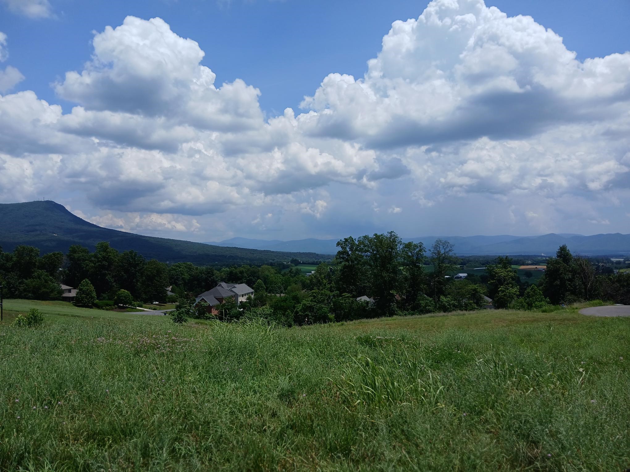 1165 FREDERICK RD, ROCKINGHAM, Virginia 22801, ,Land,1165 FREDERICK RD,666363 MLS # 666363