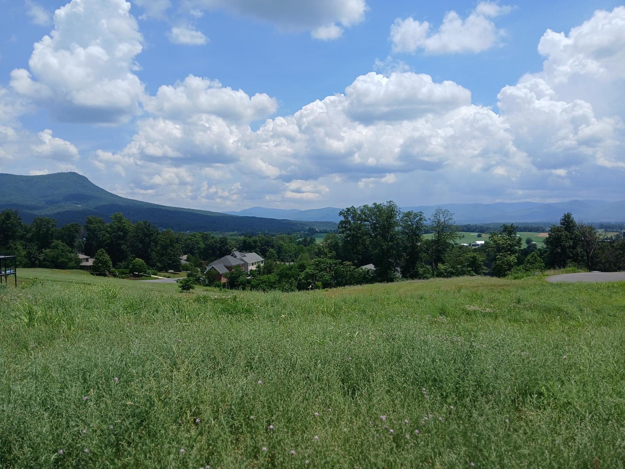 1165 FREDERICK RD, ROCKINGHAM, Virginia 22801, ,Land,1165 FREDERICK RD,666363 MLS # 666363