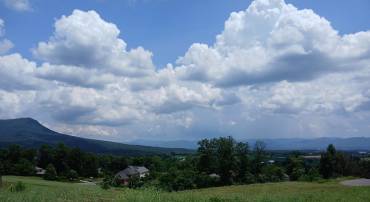 1165 FREDERICK RD, ROCKINGHAM, Virginia 22801, ,Land,1165 FREDERICK RD,666363 MLS # 666363
