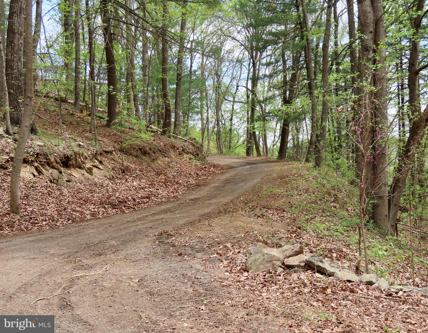REDIVIVA LN, WASHINGTON, Virginia 22747, ,Farm,For sale,REDIVIVA LN,VARP2002034 MLS # VARP2002034