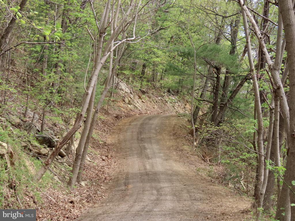 REDIVIVA LN, WASHINGTON, Virginia 22747, ,Farm,For sale,REDIVIVA LN,VARP2002034 MLS # VARP2002034