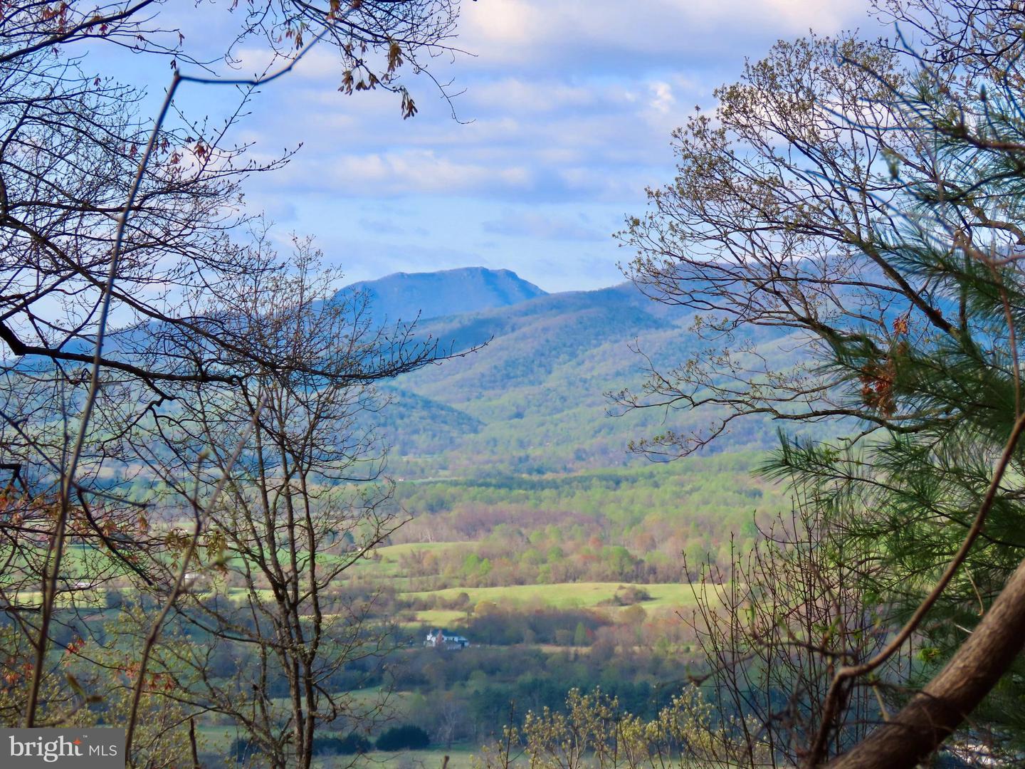 REDIVIVA LN, WASHINGTON, Virginia 22747, ,Farm,For sale,REDIVIVA LN,VARP2002034 MLS # VARP2002034
