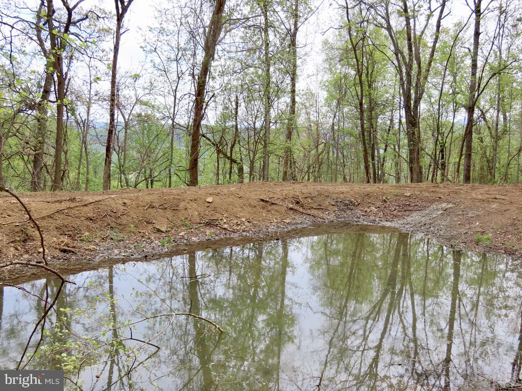 REDIVIVA LN, WASHINGTON, Virginia 22747, ,Farm,For sale,REDIVIVA LN,VARP2002034 MLS # VARP2002034