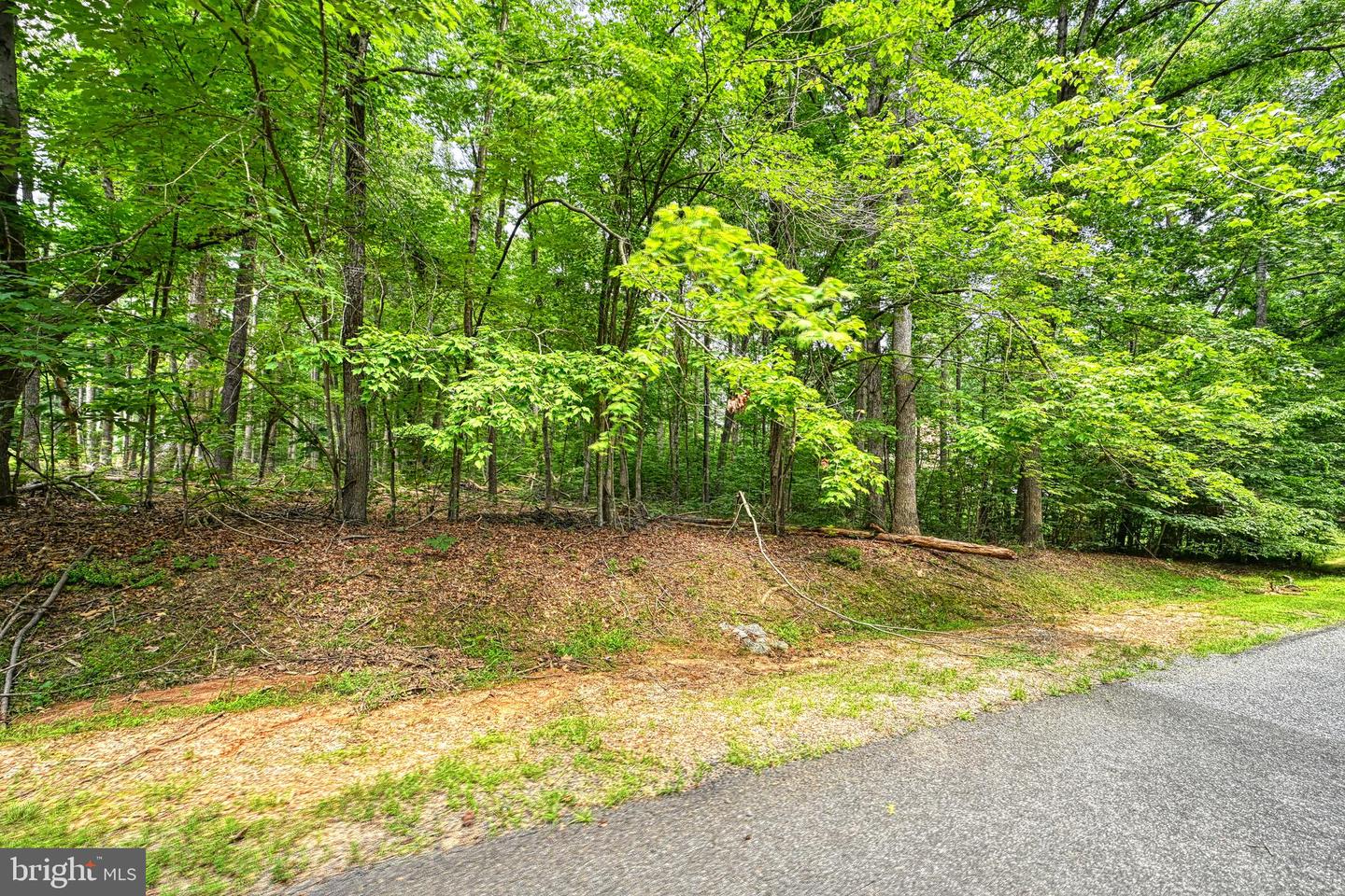 LOT 4 PINEWOOD DR, MINERAL, Virginia 23117, ,Land,For sale,LOT 4 PINEWOOD DR,VALA2008140 MLS # VALA2008140