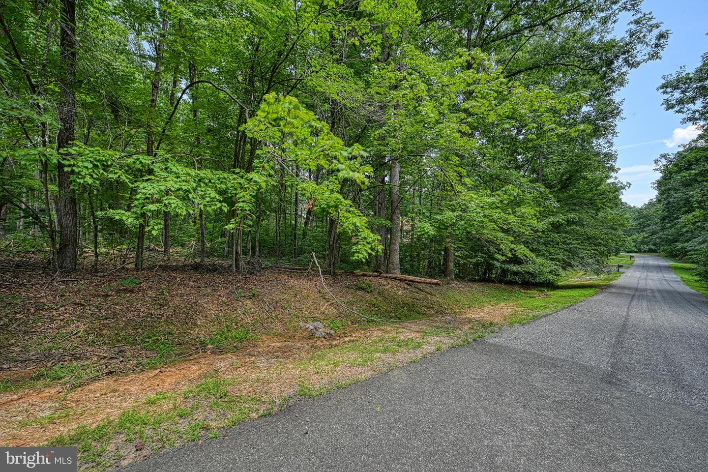 LOT 4 PINEWOOD DR, MINERAL, Virginia 23117, ,Land,For sale,LOT 4 PINEWOOD DR,VALA2008140 MLS # VALA2008140