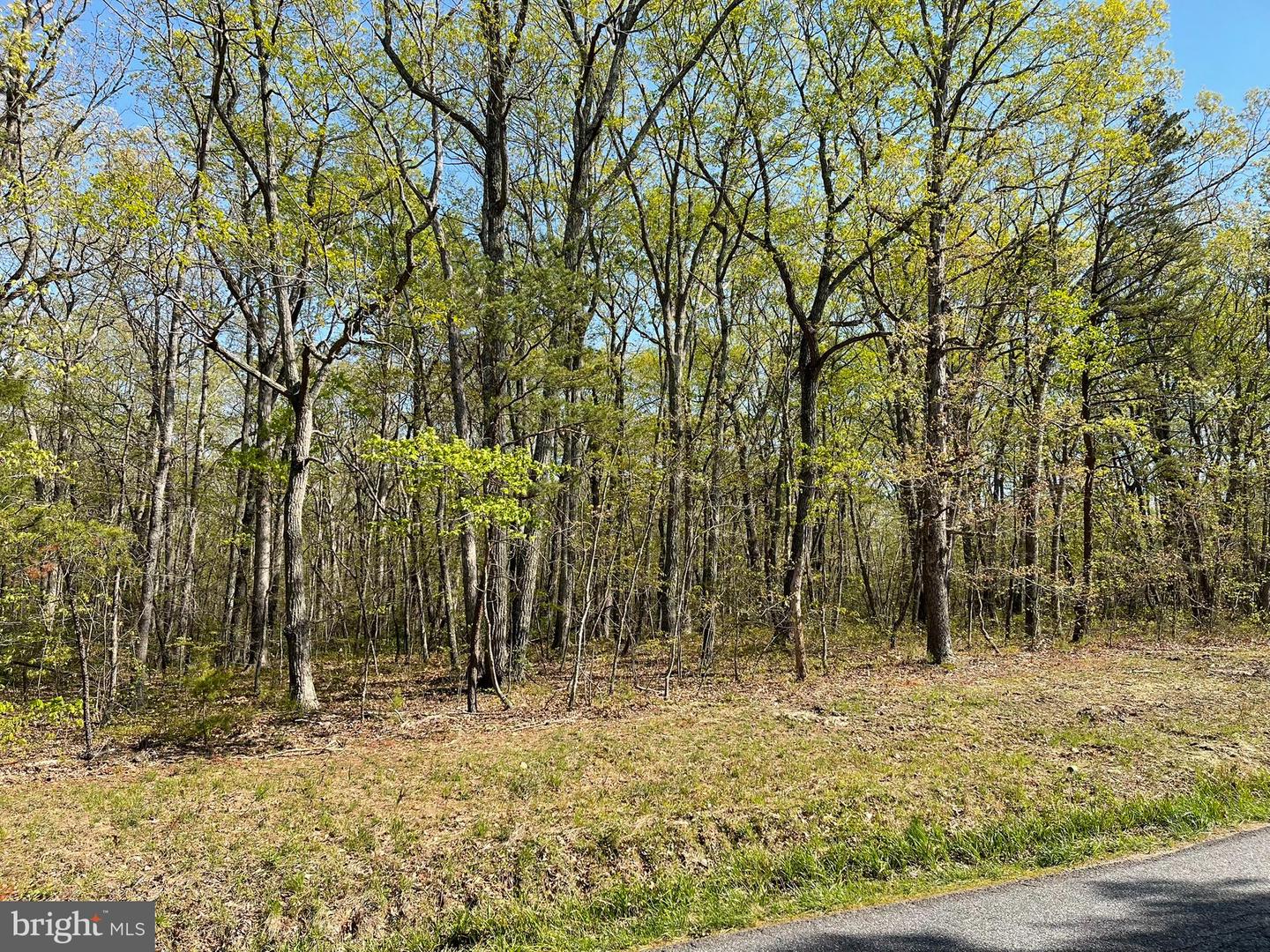 13323 BLACK MEADOW RD, SPOTSYLVANIA, Virginia 22553, ,Land,For sale,13323 BLACK MEADOW RD,VASP2034366 MLS # VASP2034366