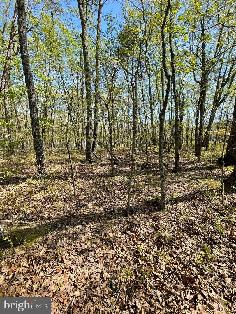 13323 BLACK MEADOW RD, SPOTSYLVANIA, Virginia 22553, ,Land,For sale,13323 BLACK MEADOW RD,VASP2034366 MLS # VASP2034366