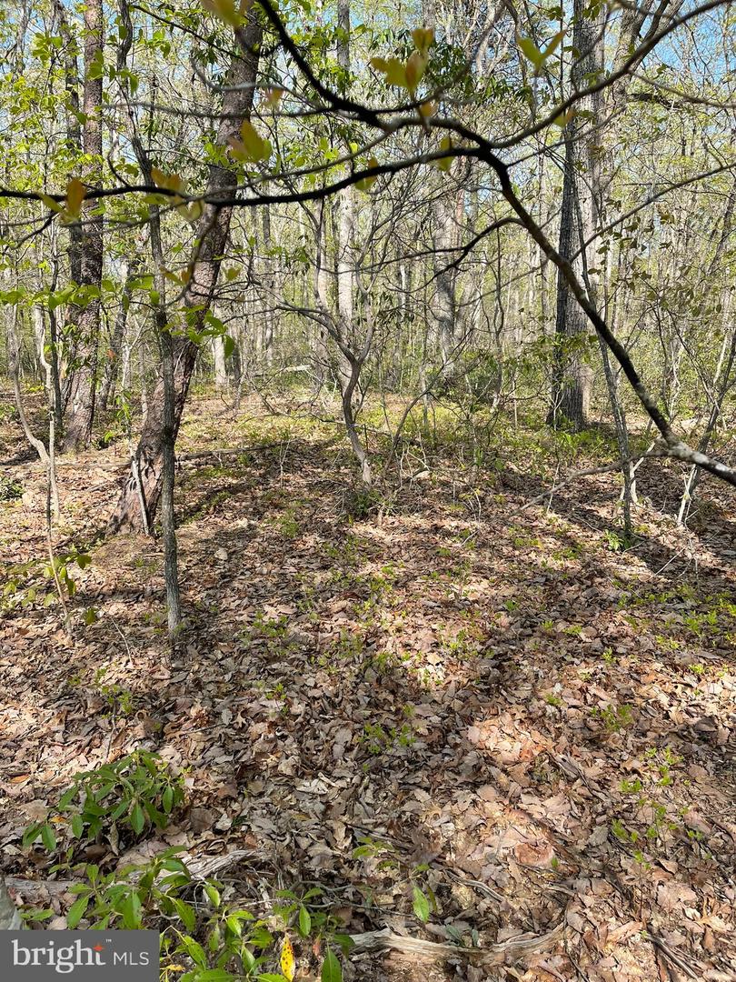 13323 BLACK MEADOW RD, SPOTSYLVANIA, Virginia 22553, ,Land,For sale,13323 BLACK MEADOW RD,VASP2034366 MLS # VASP2034366