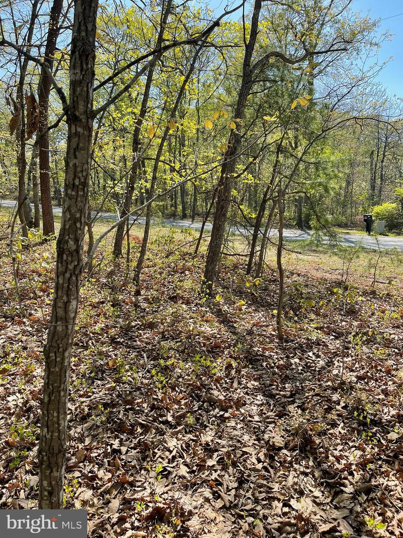 13323 BLACK MEADOW RD, SPOTSYLVANIA, Virginia 22553, ,Land,For sale,13323 BLACK MEADOW RD,VASP2034366 MLS # VASP2034366