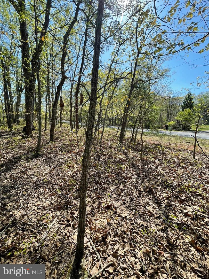 13323 BLACK MEADOW RD, SPOTSYLVANIA, Virginia 22553, ,Land,For sale,13323 BLACK MEADOW RD,VASP2034366 MLS # VASP2034366