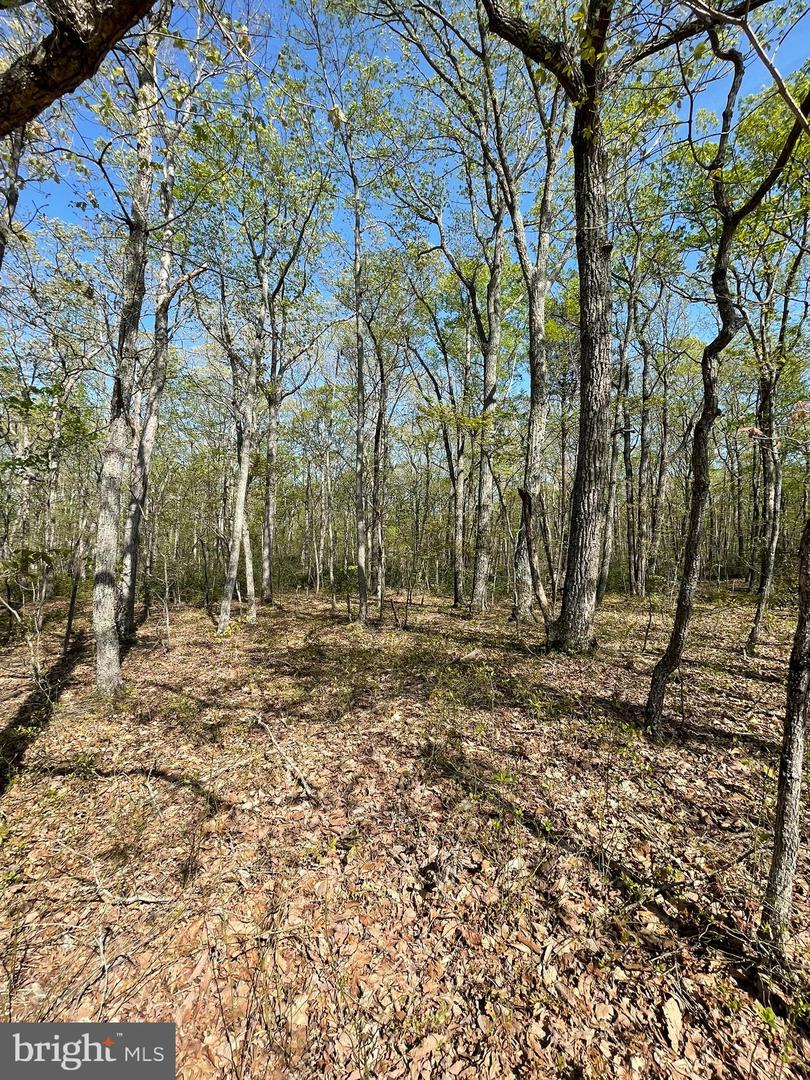 13323 BLACK MEADOW RD, SPOTSYLVANIA, Virginia 22553, ,Land,For sale,13323 BLACK MEADOW RD,VASP2034366 MLS # VASP2034366