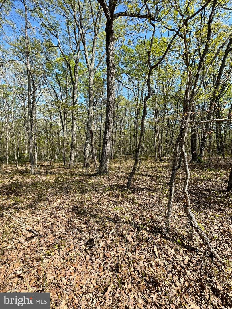 13323 BLACK MEADOW RD, SPOTSYLVANIA, Virginia 22553, ,Land,For sale,13323 BLACK MEADOW RD,VASP2034366 MLS # VASP2034366