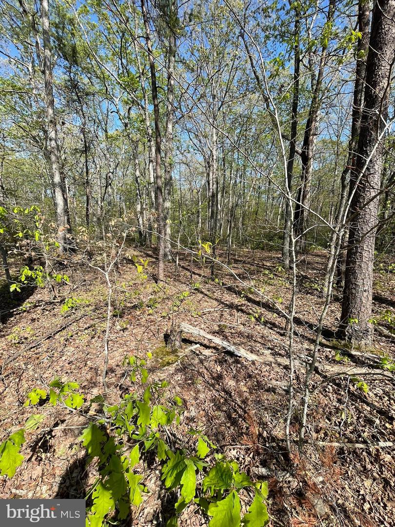 13323 BLACK MEADOW RD, SPOTSYLVANIA, Virginia 22553, ,Land,For sale,13323 BLACK MEADOW RD,VASP2034366 MLS # VASP2034366