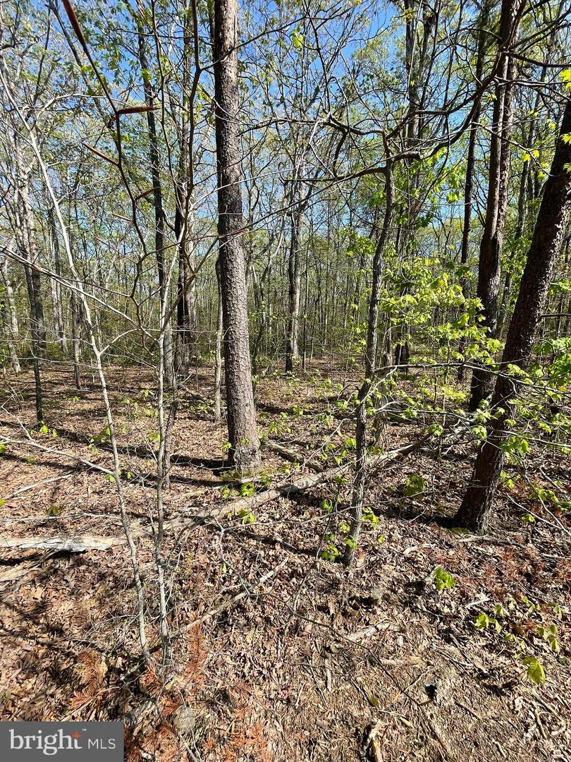 13323 BLACK MEADOW RD, SPOTSYLVANIA, Virginia 22553, ,Land,For sale,13323 BLACK MEADOW RD,VASP2034366 MLS # VASP2034366