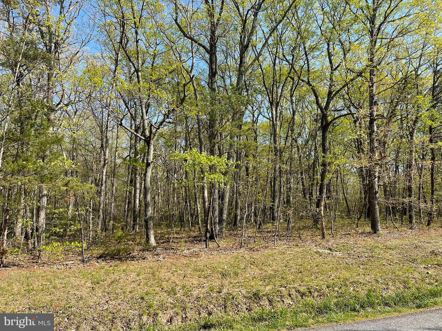13323 BLACK MEADOW RD, SPOTSYLVANIA, Virginia 22553, ,Land,For sale,13323 BLACK MEADOW RD,VASP2034366 MLS # VASP2034366