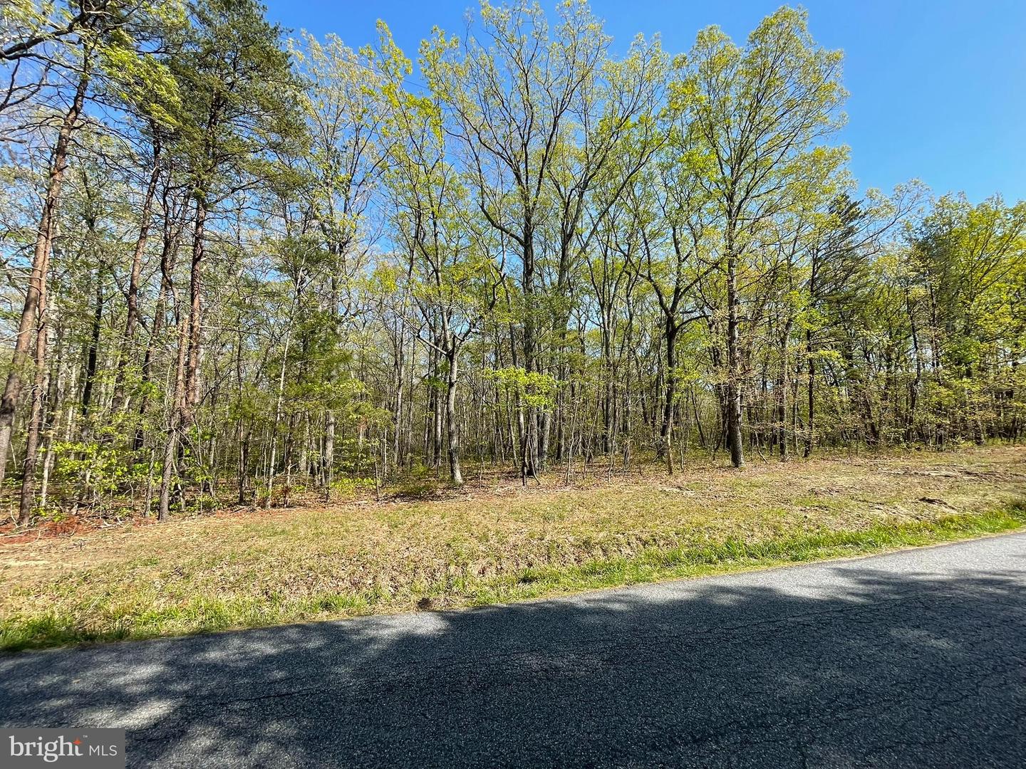 13323 BLACK MEADOW RD, SPOTSYLVANIA, Virginia 22553, ,Land,For sale,13323 BLACK MEADOW RD,VASP2034366 MLS # VASP2034366