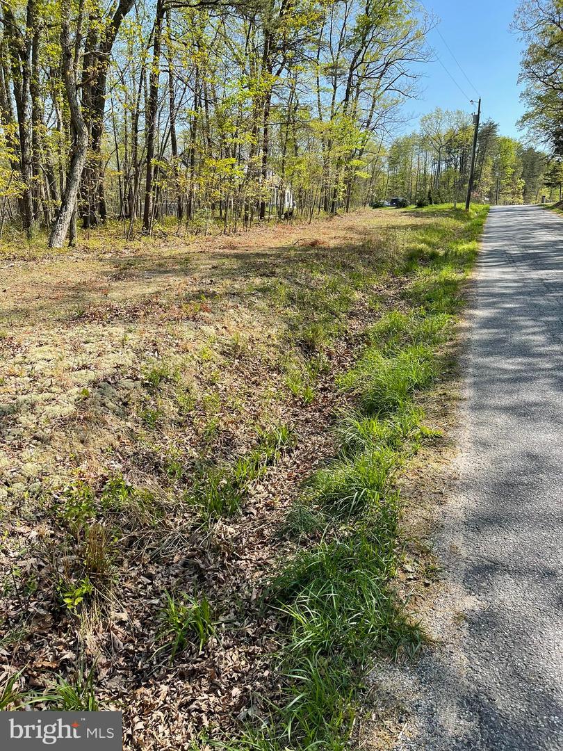 13323 BLACK MEADOW RD, SPOTSYLVANIA, Virginia 22553, ,Land,For sale,13323 BLACK MEADOW RD,VASP2034366 MLS # VASP2034366