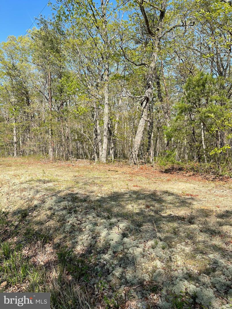 13323 BLACK MEADOW RD, SPOTSYLVANIA, Virginia 22553, ,Land,For sale,13323 BLACK MEADOW RD,VASP2034366 MLS # VASP2034366