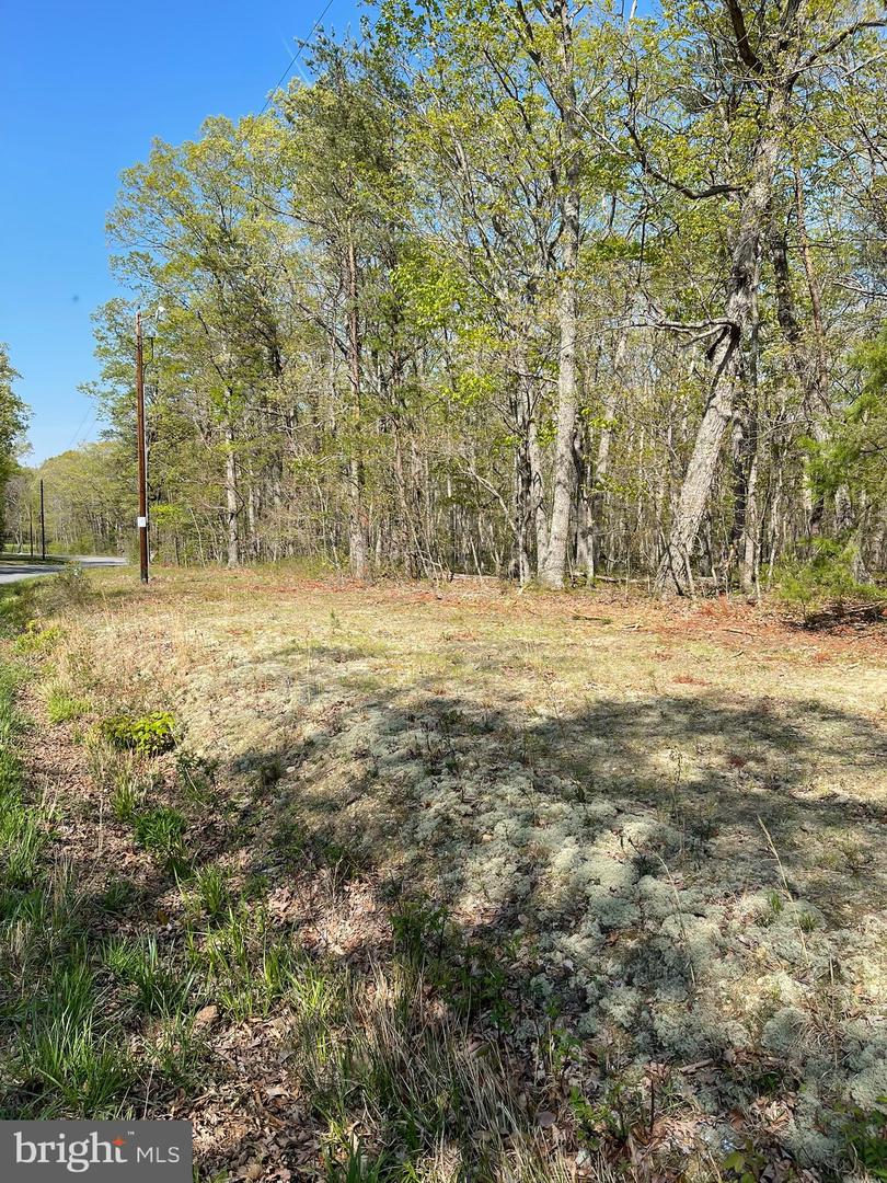 13323 BLACK MEADOW RD, SPOTSYLVANIA, Virginia 22553, ,Land,For sale,13323 BLACK MEADOW RD,VASP2034366 MLS # VASP2034366