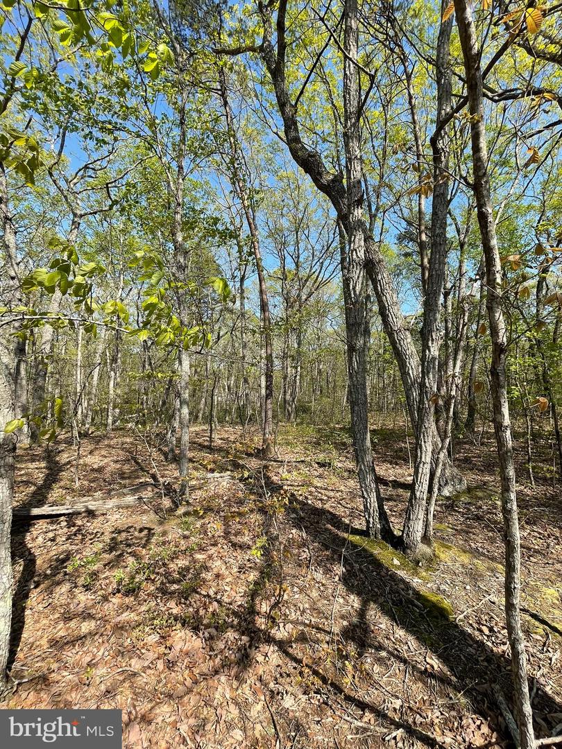 13323 BLACK MEADOW RD, SPOTSYLVANIA, Virginia 22553, ,Land,For sale,13323 BLACK MEADOW RD,VASP2034366 MLS # VASP2034366