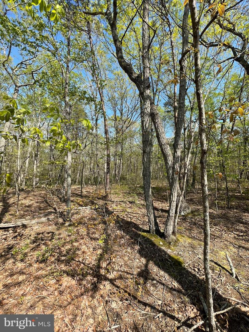 13323 BLACK MEADOW RD, SPOTSYLVANIA, Virginia 22553, ,Land,For sale,13323 BLACK MEADOW RD,VASP2034366 MLS # VASP2034366