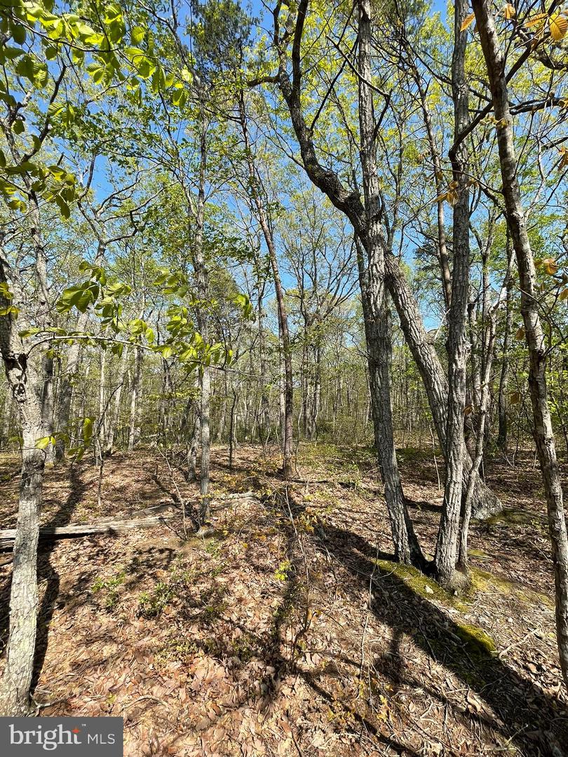 13323 BLACK MEADOW RD, SPOTSYLVANIA, Virginia 22553, ,Land,For sale,13323 BLACK MEADOW RD,VASP2034366 MLS # VASP2034366