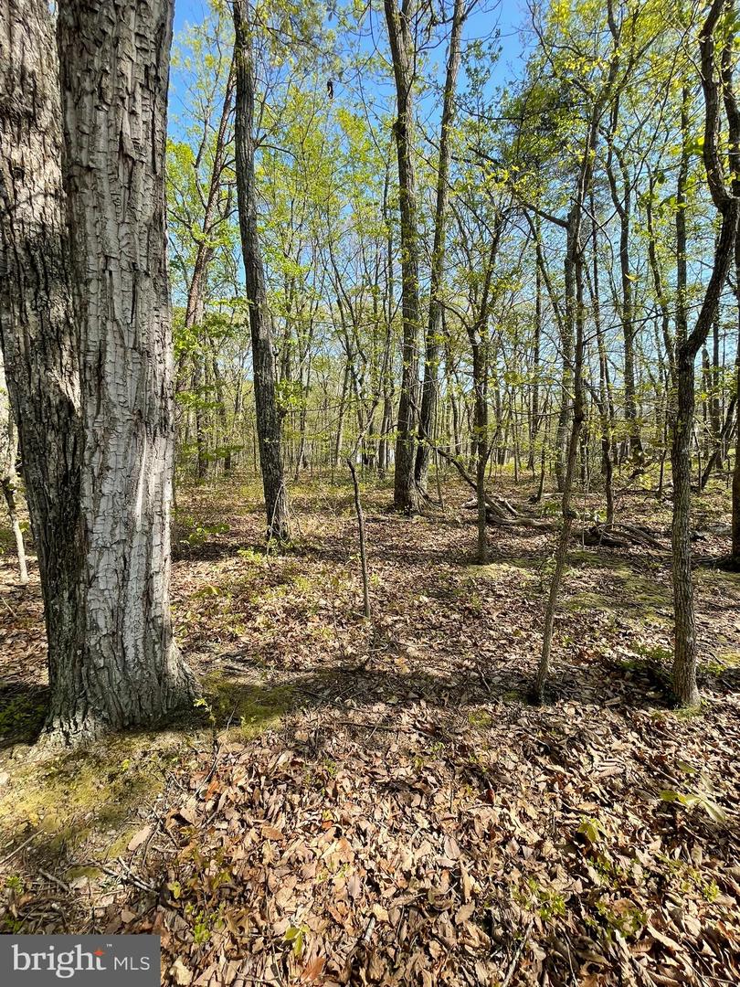 13323 BLACK MEADOW RD, SPOTSYLVANIA, Virginia 22553, ,Land,For sale,13323 BLACK MEADOW RD,VASP2034366 MLS # VASP2034366