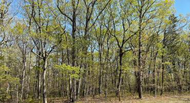 13323 BLACK MEADOW RD, SPOTSYLVANIA, Virginia 22553, ,Land,For sale,13323 BLACK MEADOW RD,VASP2034366 MLS # VASP2034366