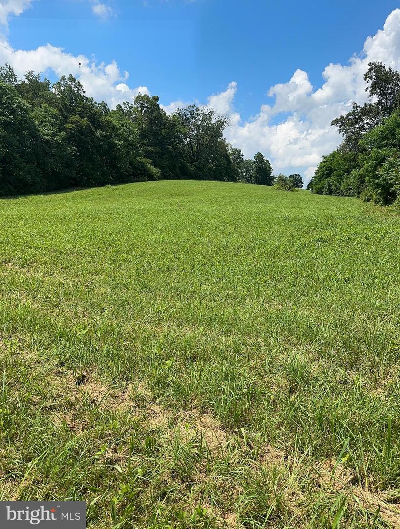LOT B 4661 MIDDLE ROAD, WINCHESTER, Virginia 22602, ,Land,For sale,LOT B 4661 MIDDLE ROAD,VAFV2035216 MLS # VAFV2035216