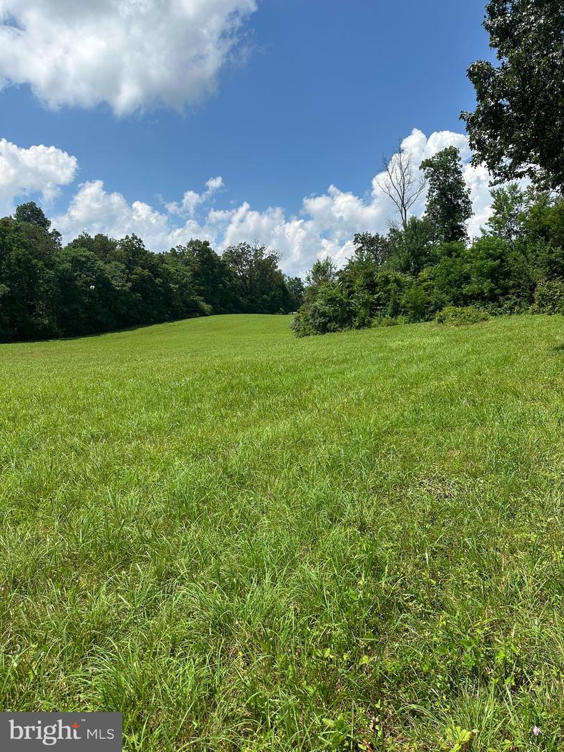 LOT B 4661 MIDDLE ROAD, WINCHESTER, Virginia 22602, ,Land,For sale,LOT B 4661 MIDDLE ROAD,VAFV2035216 MLS # VAFV2035216