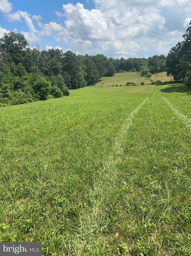 LOT B 4661 MIDDLE ROAD, WINCHESTER, Virginia 22602, ,Land,For sale,LOT B 4661 MIDDLE ROAD,VAFV2035216 MLS # VAFV2035216