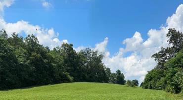 LOT B 4661 MIDDLE ROAD, WINCHESTER, Virginia 22602, ,Land,For sale,LOT B 4661 MIDDLE ROAD,VAFV2035216 MLS # VAFV2035216