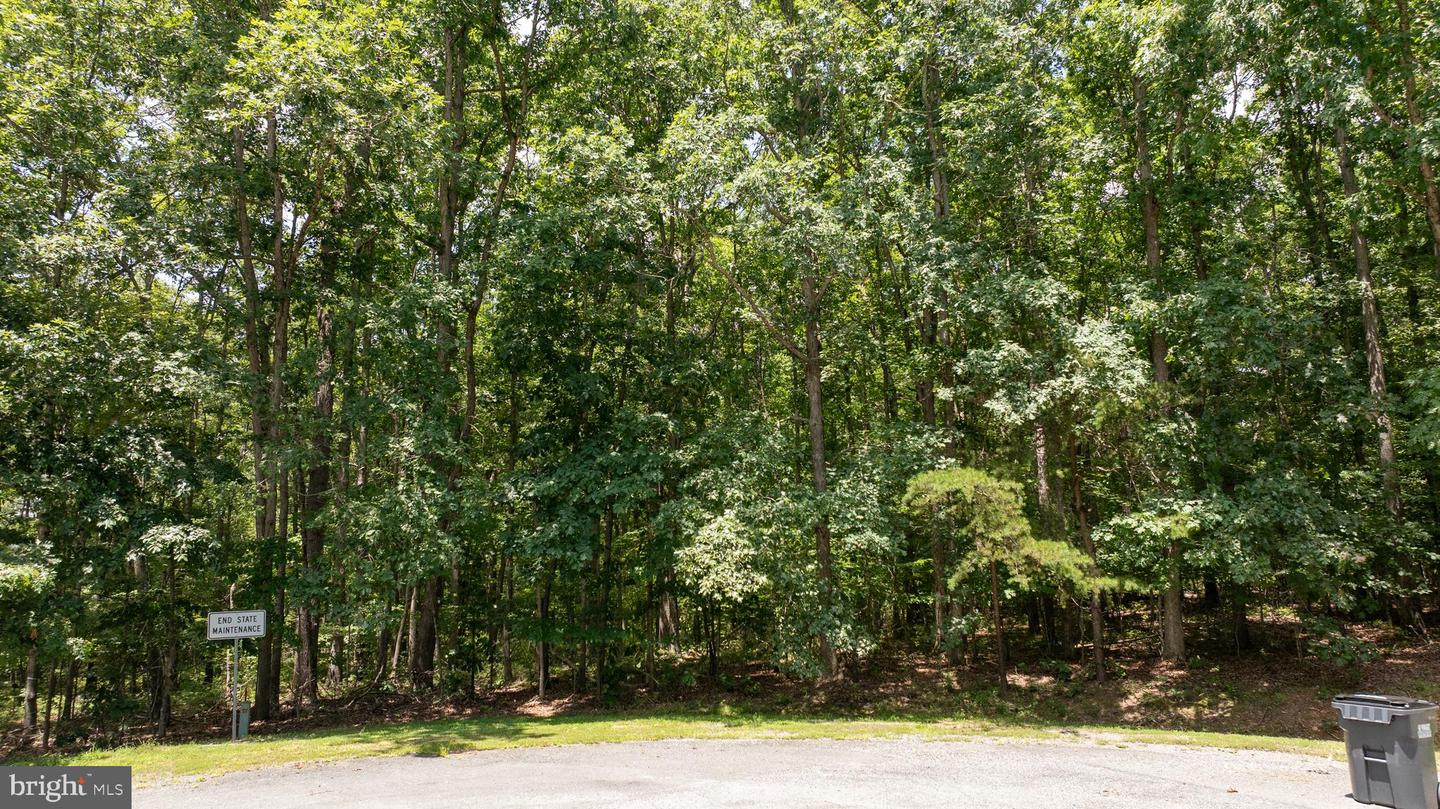 LOT 7 PINEWOOD DR, MINERAL, Virginia 23117, ,Land,For sale,LOT 7 PINEWOOD DR,VALA2008156 MLS # VALA2008156