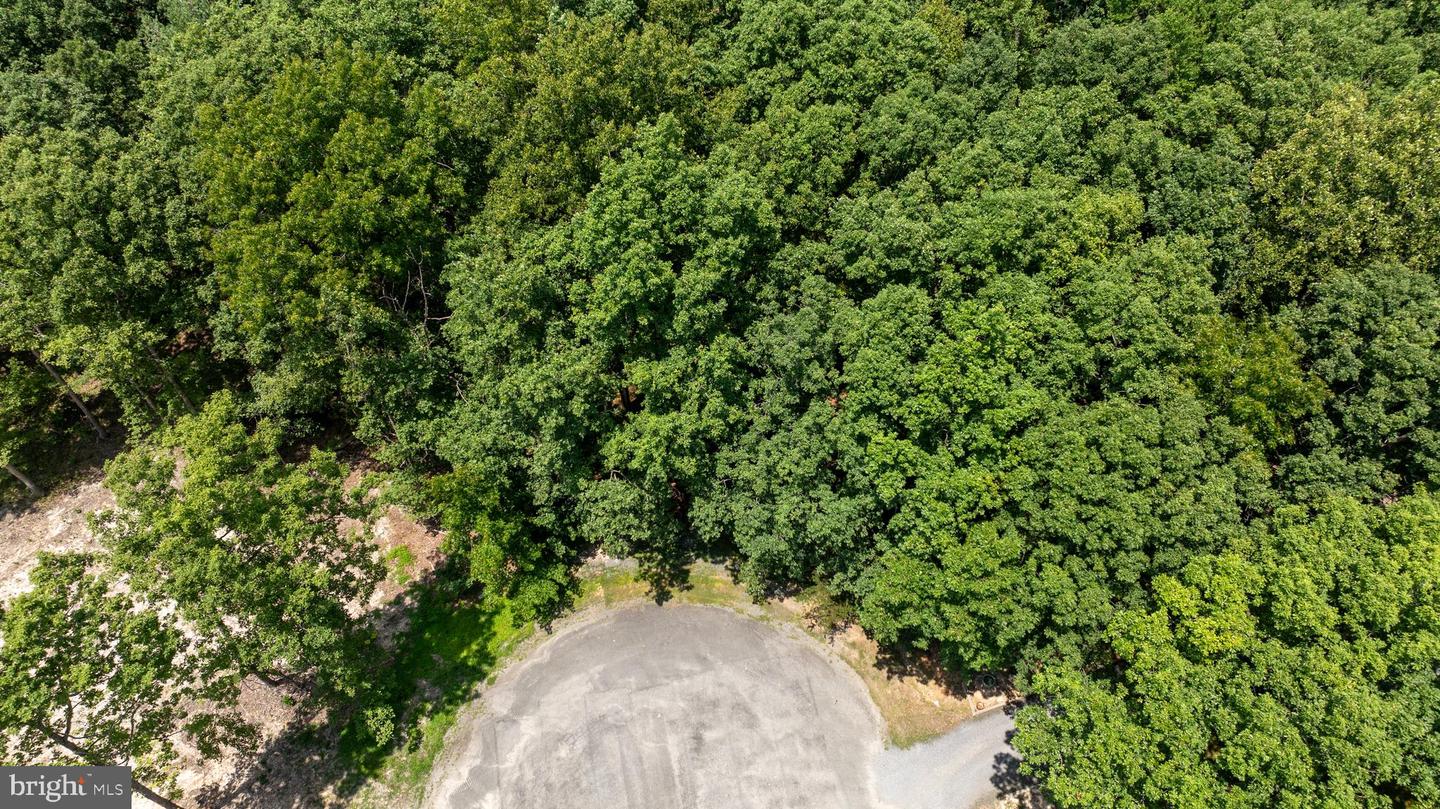 LOT 7 PINEWOOD DR, MINERAL, Virginia 23117, ,Land,For sale,LOT 7 PINEWOOD DR,VALA2008156 MLS # VALA2008156