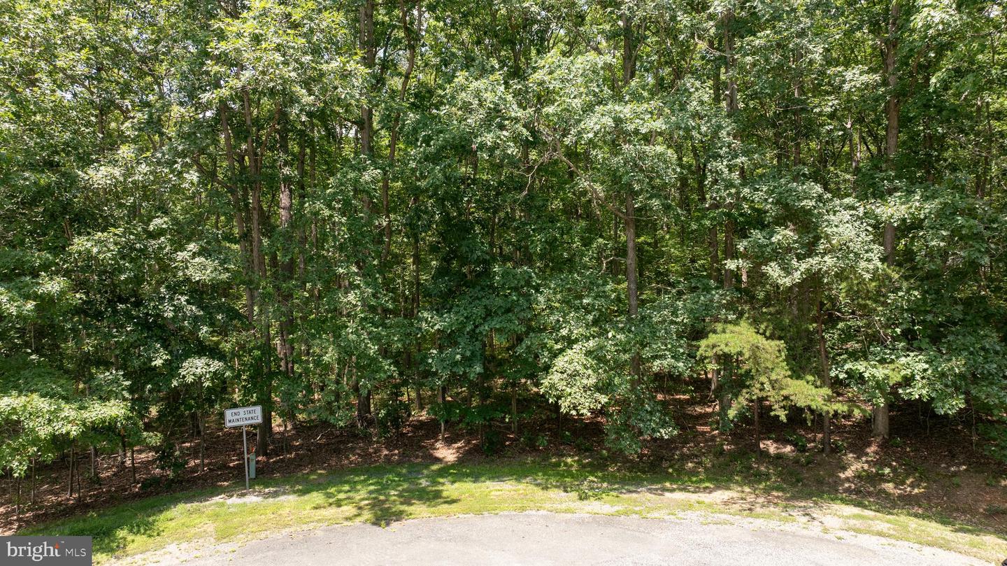 LOT 7 PINEWOOD DR, MINERAL, Virginia 23117, ,Land,For sale,LOT 7 PINEWOOD DR,VALA2008156 MLS # VALA2008156