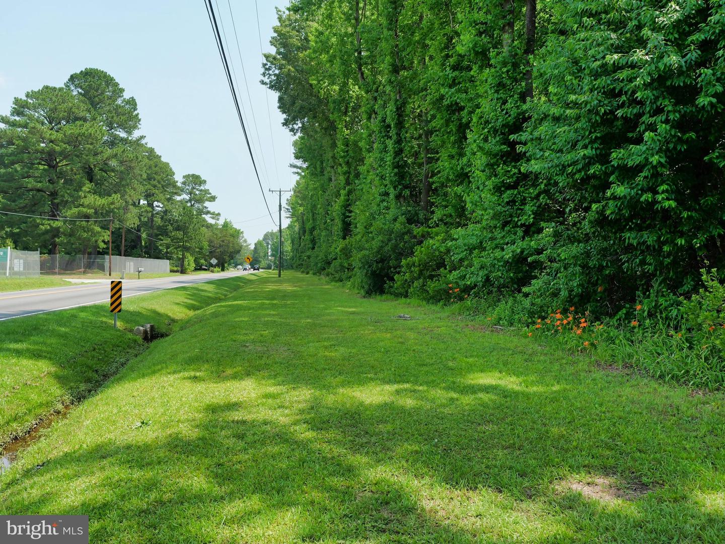 00 GREAT FORK RD, SUFFOLK, Virginia 23438, ,Land,For sale,00 GREAT FORK RD,VASF2000052 MLS # VASF2000052