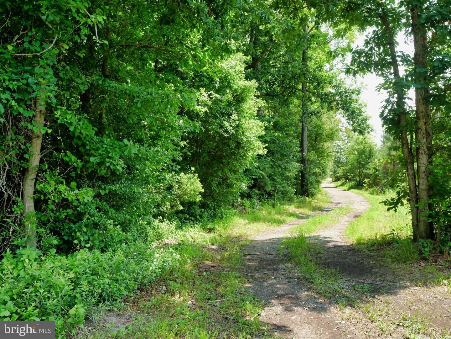 00 GREAT FORK RD, SUFFOLK, Virginia 23438, ,Land,For sale,00 GREAT FORK RD,VASF2000052 MLS # VASF2000052