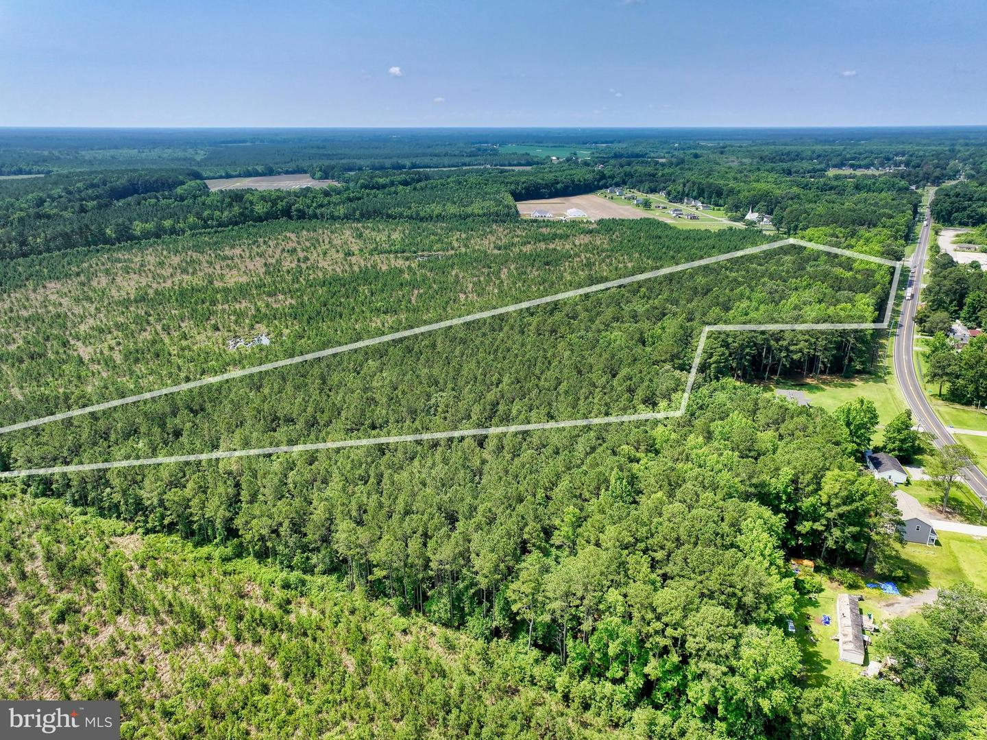 00 GREAT FORK RD, SUFFOLK, Virginia 23438, ,Land,For sale,00 GREAT FORK RD,VASF2000052 MLS # VASF2000052