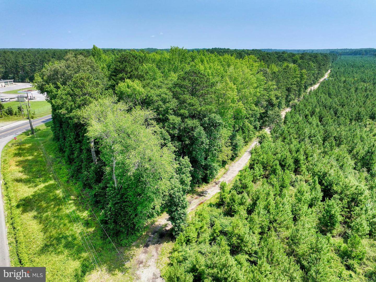 00 GREAT FORK RD, SUFFOLK, Virginia 23438, ,Land,For sale,00 GREAT FORK RD,VASF2000052 MLS # VASF2000052