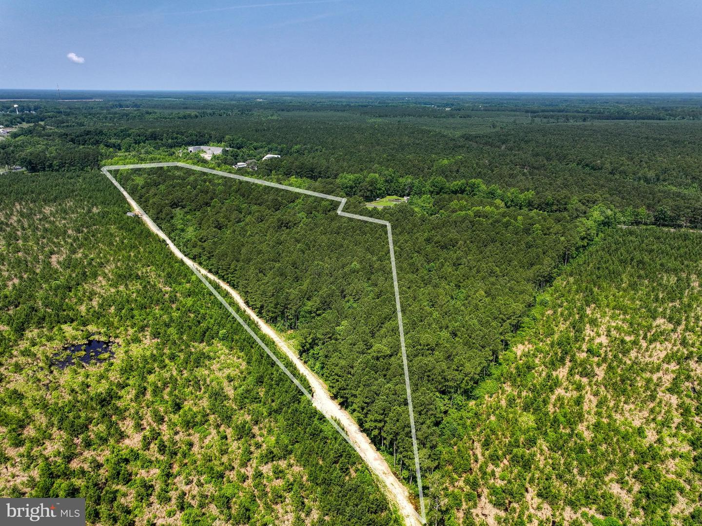 00 GREAT FORK RD, SUFFOLK, Virginia 23438, ,Land,For sale,00 GREAT FORK RD,VASF2000052 MLS # VASF2000052