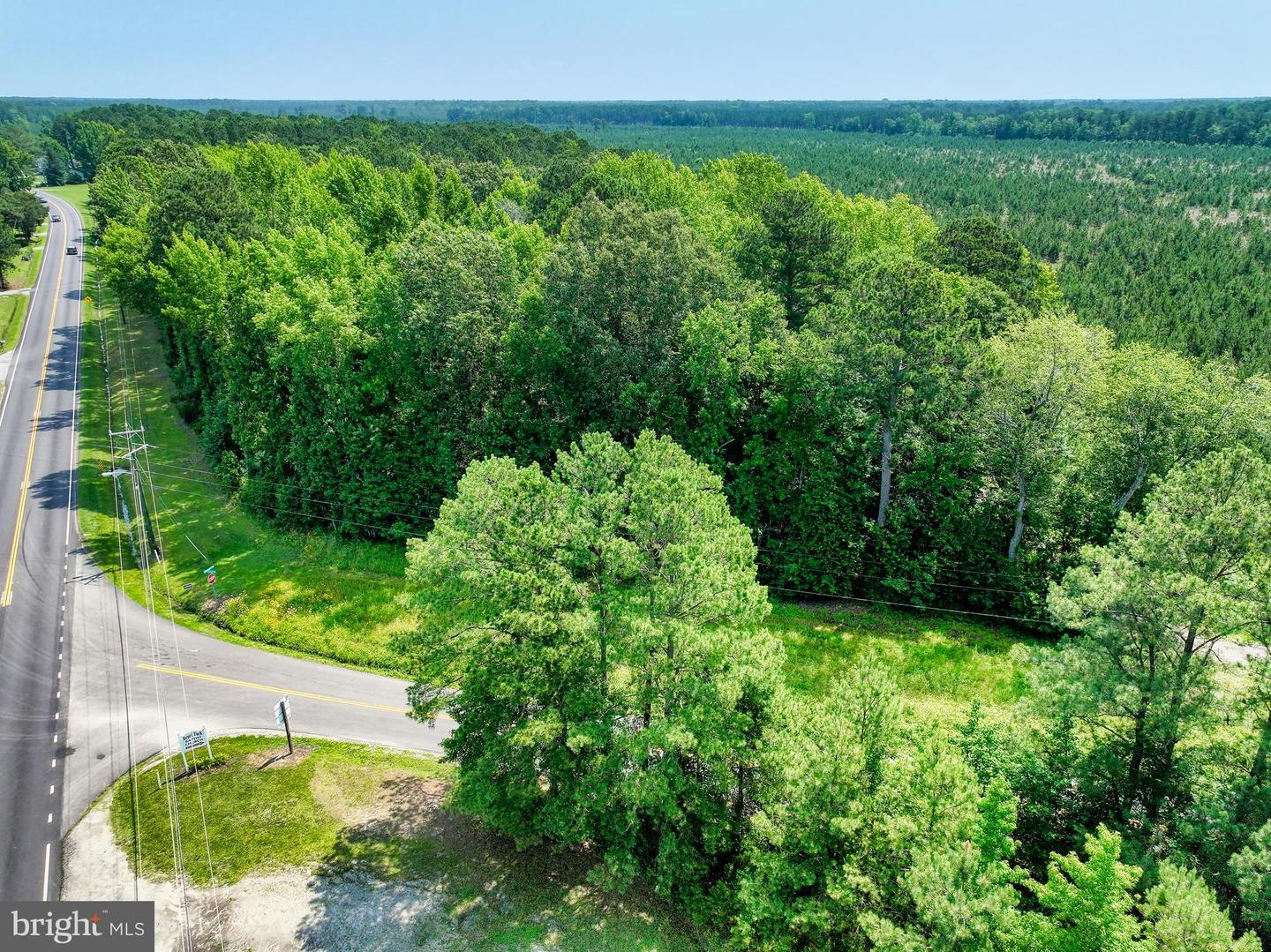 00 GREAT FORK RD, SUFFOLK, Virginia 23438, ,Land,For sale,00 GREAT FORK RD,VASF2000052 MLS # VASF2000052
