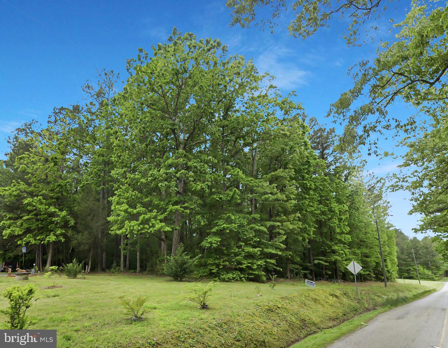 00 BRIGHT LEAF RD, LAWRENCEVILLE, Virginia 23868, ,Land,For sale,00 BRIGHT LEAF RD,VABW2000080 MLS # VABW2000080