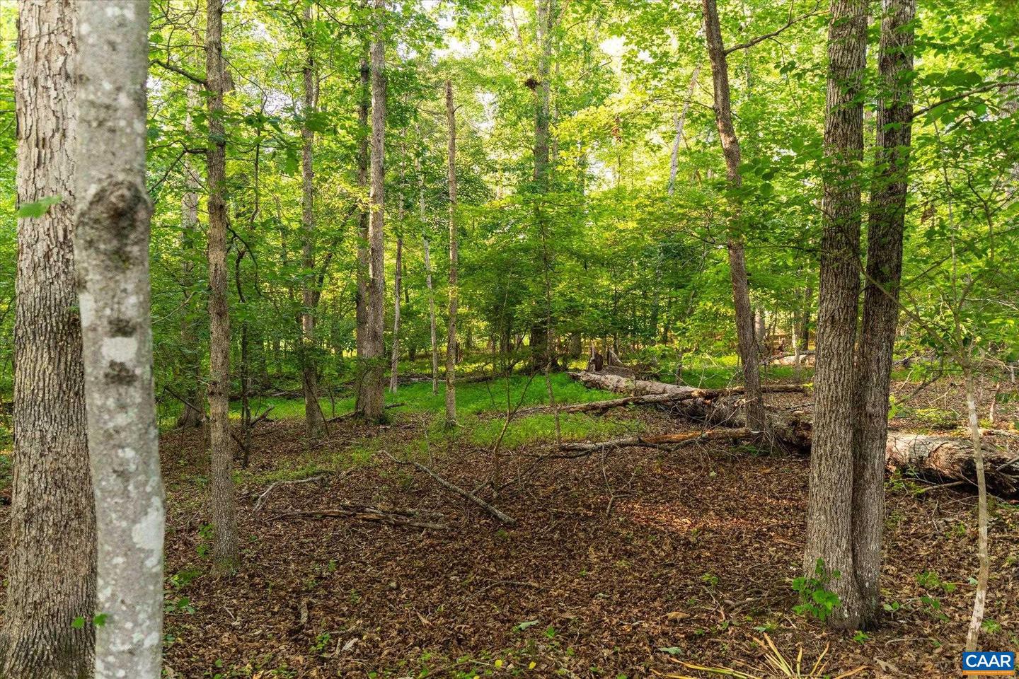 LOT 13 CLUB DR, KESWICK, Virginia 22947, ,Land,For sale,LOT 13 CLUB DR,666359 MLS # 666359