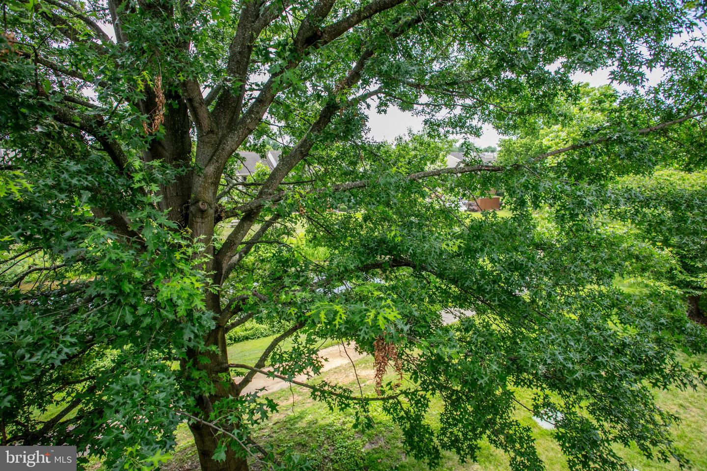 6904 MARY CAROLINE CIR #L, ALEXANDRIA, Virginia 22310, 2 Bedrooms Bedrooms, ,2 BathroomsBathrooms,Residential,For sale,6904 MARY CAROLINE CIR #L,VAFX2248118 MLS # VAFX2248118