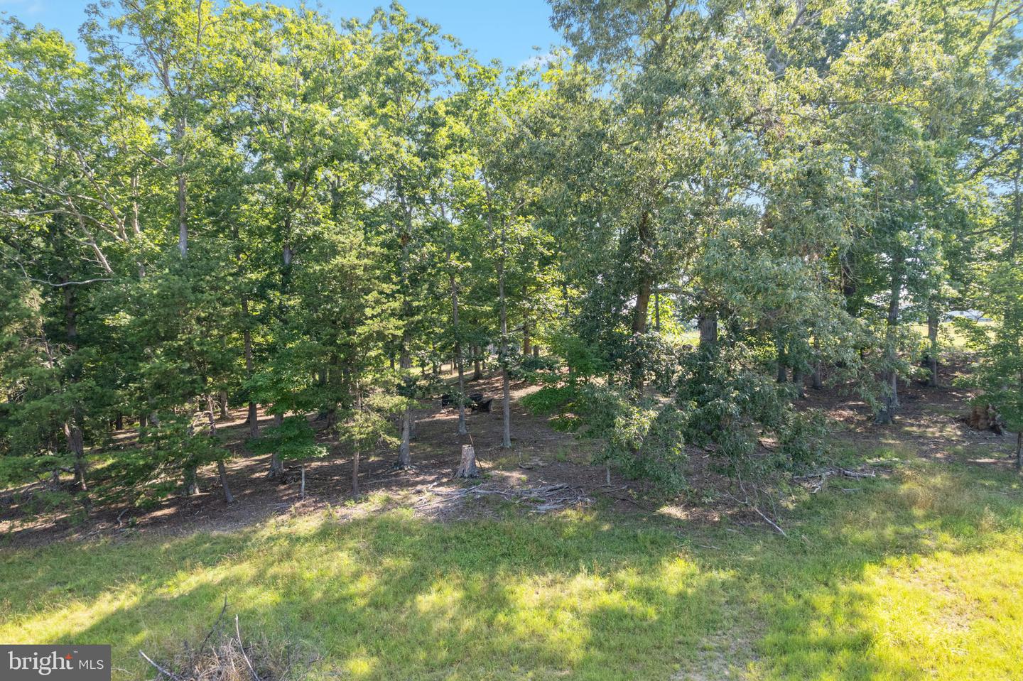 16474 DOUGLAS RD, BARBOURSVILLE, Virginia 22923, 3 Bedrooms Bedrooms, 11 Rooms Rooms,2 BathroomsBathrooms,Residential,For sale,16474 DOUGLAS RD,VAOR2010014 MLS # VAOR2010014