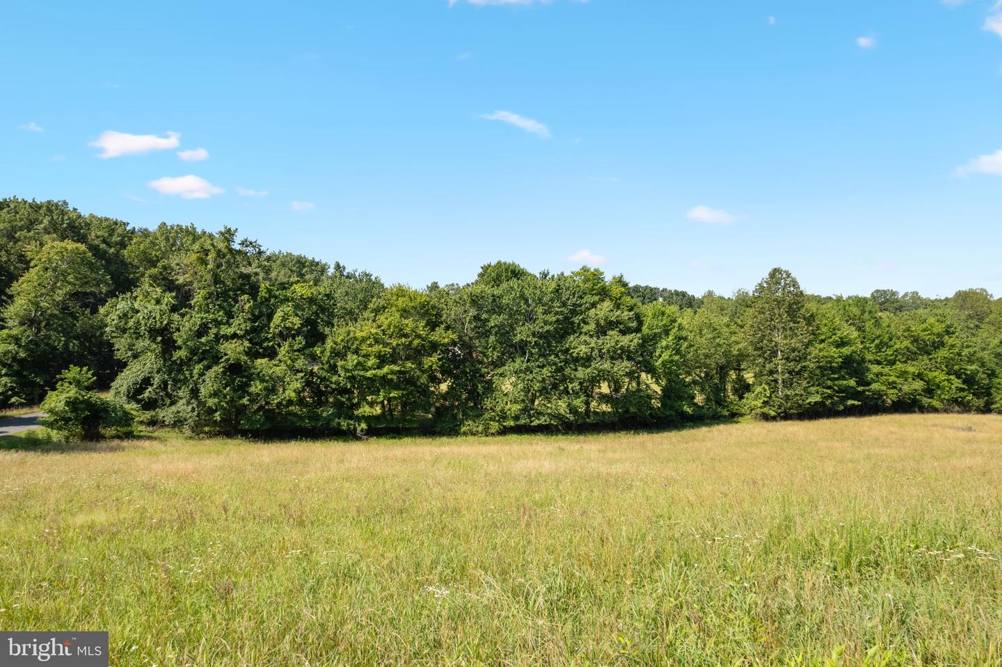 16474 DOUGLAS RD, BARBOURSVILLE, Virginia 22923, 3 Bedrooms Bedrooms, 11 Rooms Rooms,2 BathroomsBathrooms,Residential,For sale,16474 DOUGLAS RD,VAOR2010014 MLS # VAOR2010014