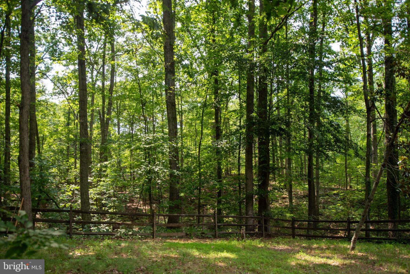 11 CARDINAL DRIVE, FREDERICKSBURG, Virginia 22406, 5 Bedrooms Bedrooms, ,3 BathroomsBathrooms,Residential,For sale,11 CARDINAL DRIVE,VAST2040360 MLS # VAST2040360