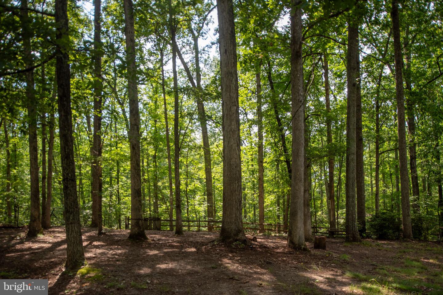 11 CARDINAL DRIVE, FREDERICKSBURG, Virginia 22406, 5 Bedrooms Bedrooms, ,3 BathroomsBathrooms,Residential,For sale,11 CARDINAL DRIVE,VAST2040360 MLS # VAST2040360