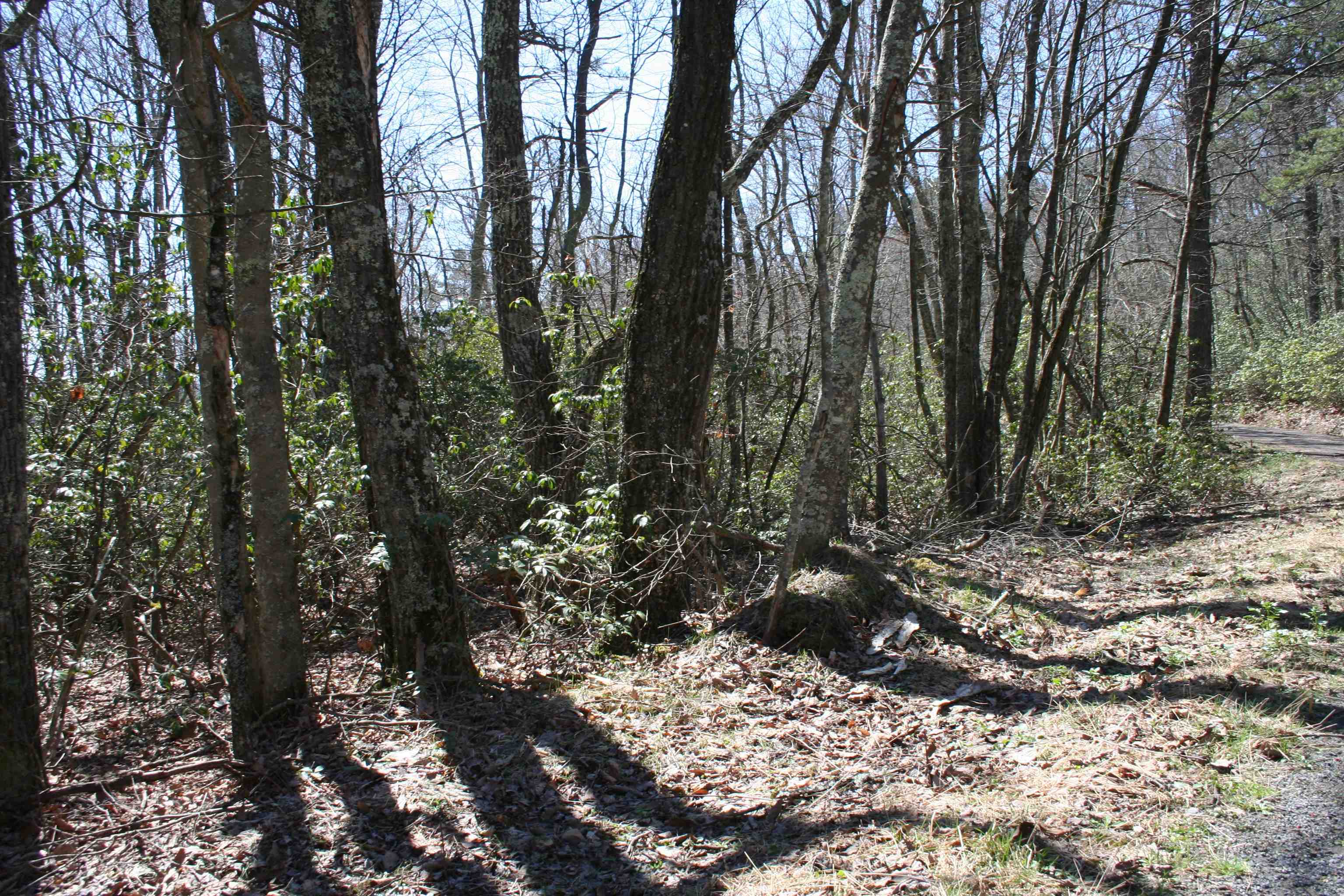 Lot 90 SUMMIT DR, MONTEREY, Virginia 24465, ,Land,lot 90,Lot 90 SUMMIT DR,653928 MLS # 653928